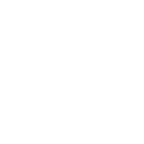 professional seo services