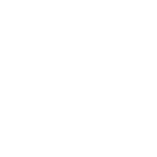 professional seo services